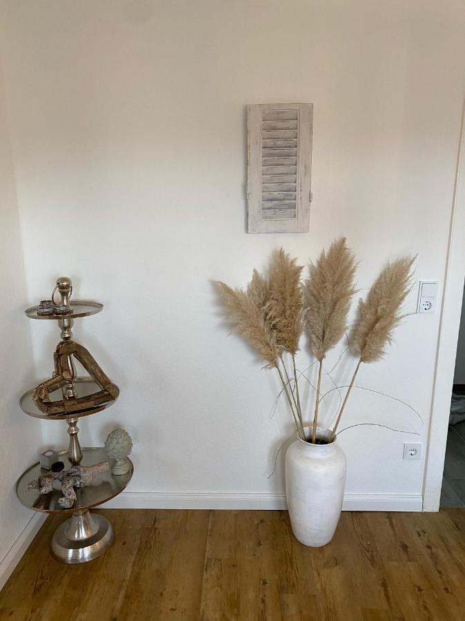 Goethestrasse Appartements 하멜른 외부 사진